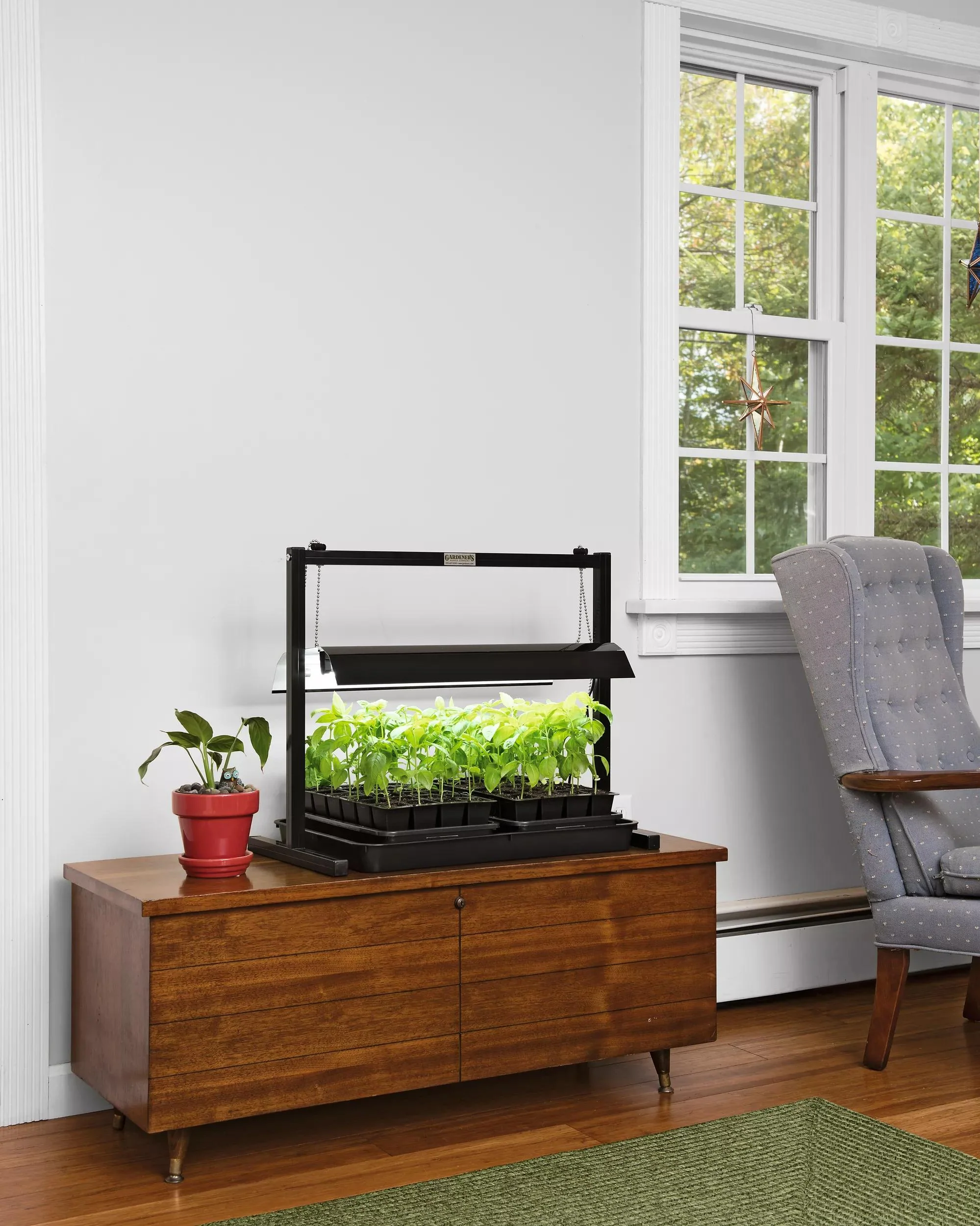 Tabletop Grow Lights